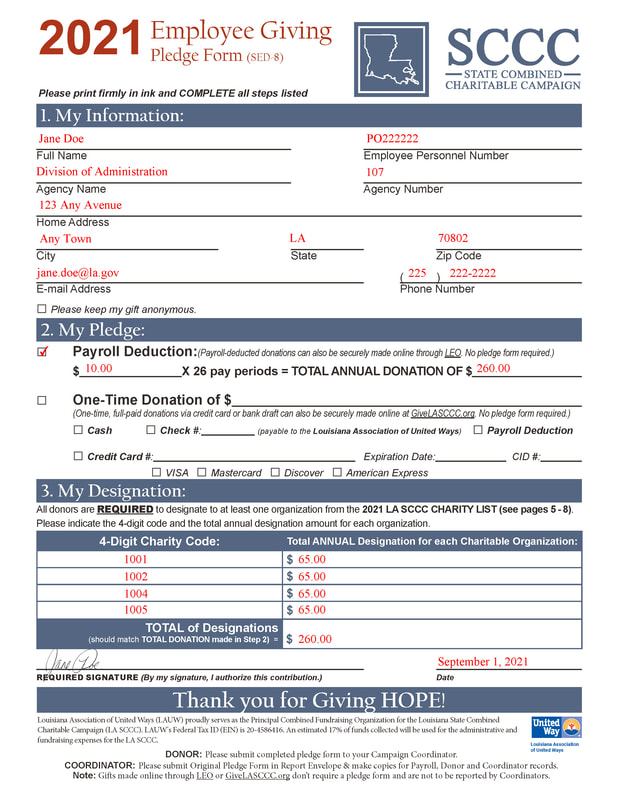 Sample of a Completed Pledge Form
